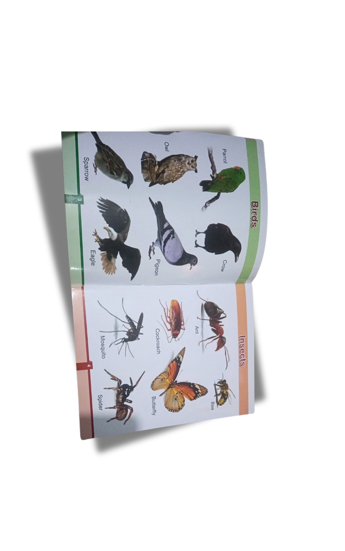 My First Learning Book of General Knowledge